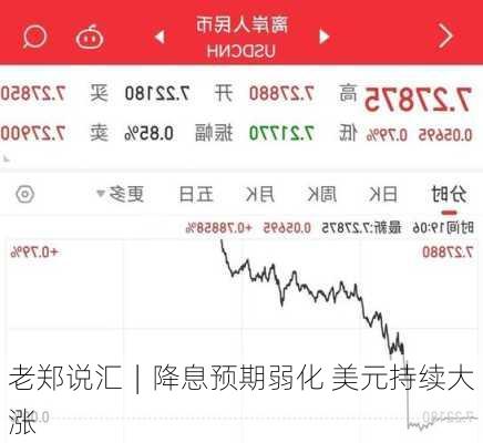 老郑说汇︱降息预期弱化 美元持续大涨