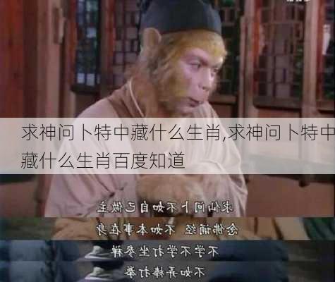 求神问卜特中藏什么生肖,求神问卜特中藏什么生肖百度知道