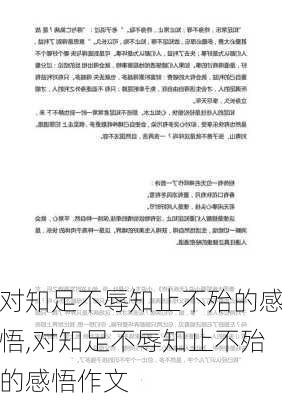 对知足不辱知止不殆的感悟,对知足不辱知止不殆的感悟作文