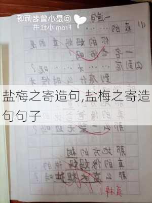 盐梅之寄造句,盐梅之寄造句句子