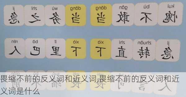 畏缩不前的反义词和近义词,畏缩不前的反义词和近义词是什么