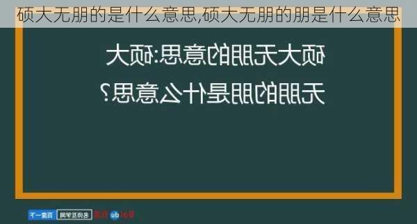 硕大无朋的是什么意思,硕大无朋的朋是什么意思