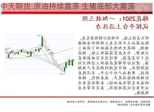 中天期货:原油持续震荡 生猪底部大震荡
