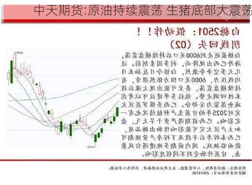 中天期货:原油持续震荡 生猪底部大震荡