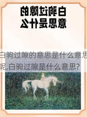 白驹过隙的意思是什么意思呢,白驹过隙是什么意思?