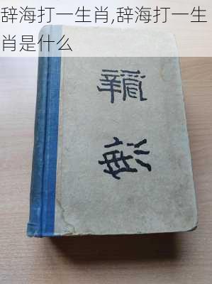 辞海打一生肖,辞海打一生肖是什么