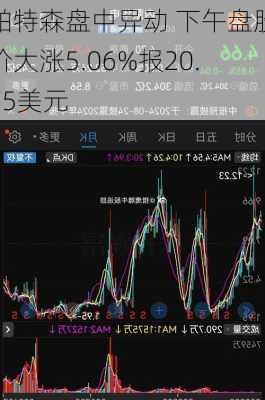 帕特森盘中异动 下午盘股价大涨5.06%报20.75美元