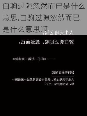 白驹过隙忽然而已是什么意思,白驹过隙忽然而已是什么意思啊