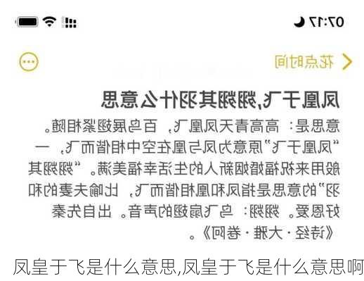 凤皇于飞是什么意思,凤皇于飞是什么意思啊