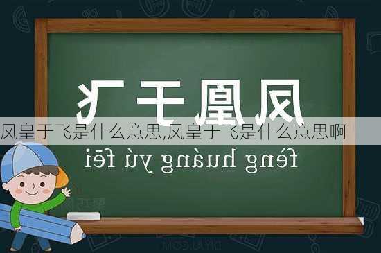 凤皇于飞是什么意思,凤皇于飞是什么意思啊