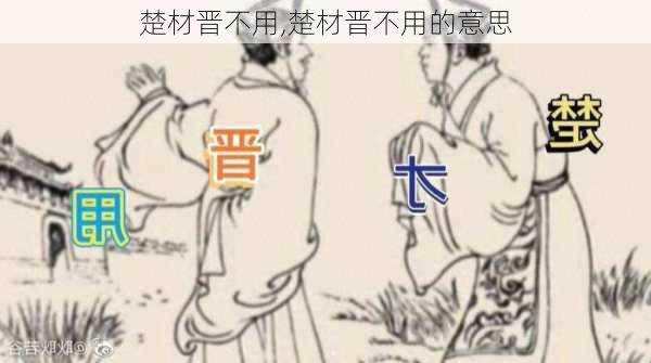 楚材晋不用,楚材晋不用的意思