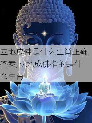 立地成佛是什么生肖正确答案,立地成佛指的是什么生肖