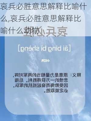 哀兵必胜意思解释比喻什么,哀兵必胜意思解释比喻什么动物