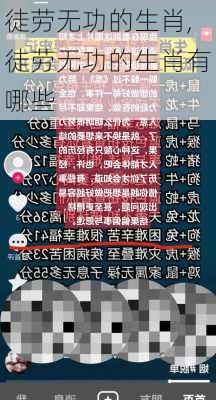 徒劳无功的生肖,徒劳无功的生肖有哪些