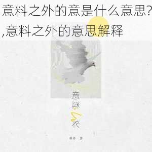 意料之外的意是什么意思?,意料之外的意思解释