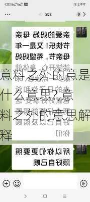 意料之外的意是什么意思?,意料之外的意思解释