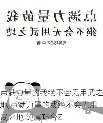 点满力量的我绝不会无用武之地,点满力量的我绝不会无用武之地 纯属巧合Z