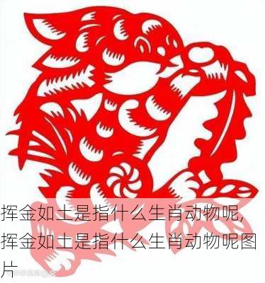 挥金如土是指什么生肖动物呢,挥金如土是指什么生肖动物呢图片