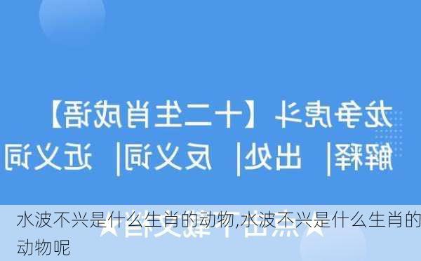 水波不兴是什么生肖的动物,水波不兴是什么生肖的动物呢