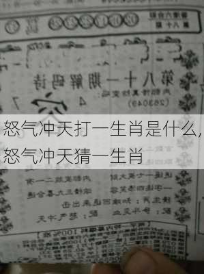 怒气冲天打一生肖是什么,怒气冲天猜一生肖