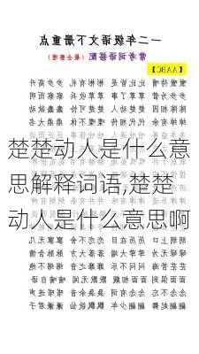 楚楚动人是什么意思解释词语,楚楚动人是什么意思啊