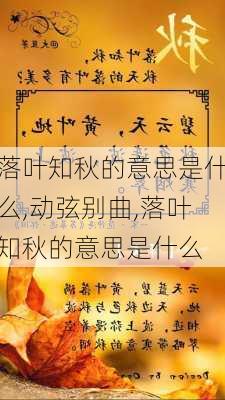 落叶知秋的意思是什么,动弦别曲,落叶知秋的意思是什么