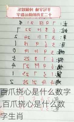 百爪挠心是什么数字,百爪挠心是什么数字生肖