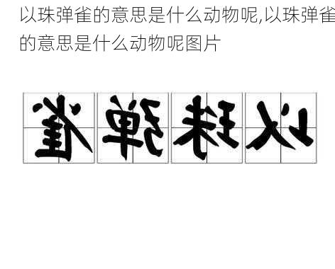 以珠弹雀的意思是什么动物呢,以珠弹雀的意思是什么动物呢图片