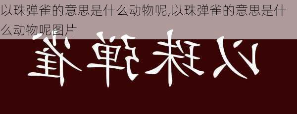 以珠弹雀的意思是什么动物呢,以珠弹雀的意思是什么动物呢图片