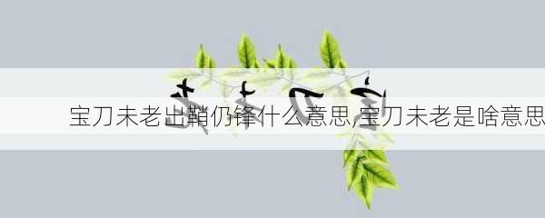 宝刀未老出鞘仍锋什么意思,宝刀未老是啥意思