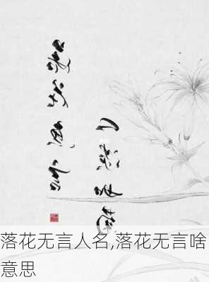 落花无言人名,落花无言啥意思