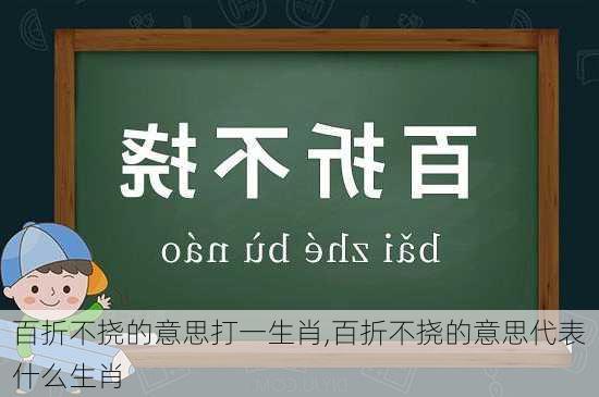 百折不挠的意思打一生肖,百折不挠的意思代表什么生肖