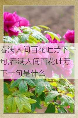 春满人间百花吐芳下一句,春满人间百花吐芳下一句是什么