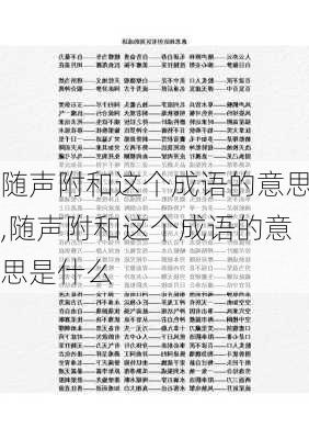 随声附和这个成语的意思,随声附和这个成语的意思是什么