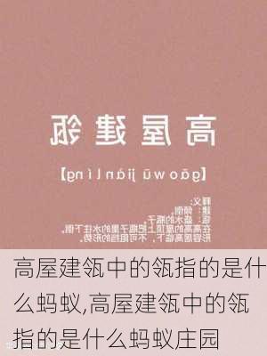 高屋建瓴中的瓴指的是什么蚂蚁,高屋建瓴中的瓴指的是什么蚂蚁庄园