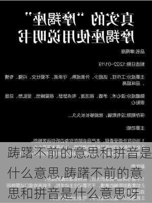 踌躇不前的意思和拼音是什么意思,踌躇不前的意思和拼音是什么意思呀