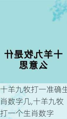 十羊九牧打一准确生肖数字几,十羊九牧打一个生肖数字