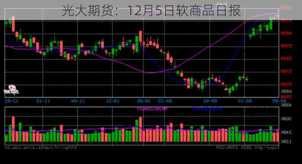 光大期货：12月5日软商品日报