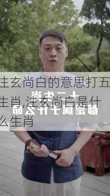 注玄尚白的意思打五生肖,注玄尚白是什么生肖