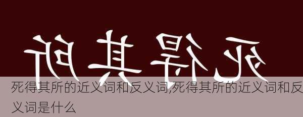 死得其所的近义词和反义词,死得其所的近义词和反义词是什么