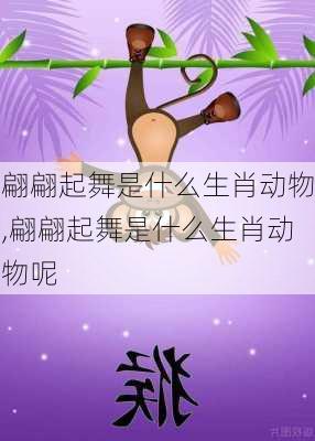 翩翩起舞是什么生肖动物,翩翩起舞是什么生肖动物呢