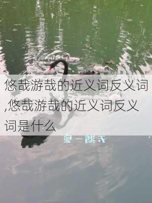 悠哉游哉的近义词反义词,悠哉游哉的近义词反义词是什么