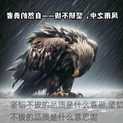 坚韧不拔的品质是什么意思,坚韧不拔的品质是什么意思呢