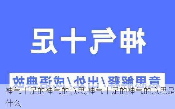 神气十足的神气的意思,神气十足的神气的意思是什么