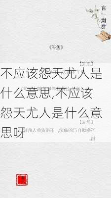 不应该怨天尤人是什么意思,不应该怨天尤人是什么意思呀