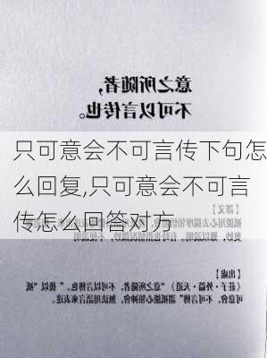 只可意会不可言传下句怎么回复,只可意会不可言传怎么回答对方