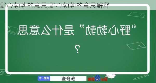 野心勃勃的意思,野心勃勃的意思解释