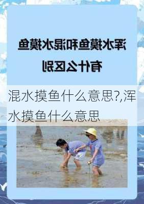 混水摸鱼什么意思?,浑水摸鱼什么意思