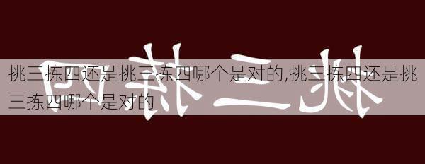 挑三拣四还是挑三拣四哪个是对的,挑三拣四还是挑三拣四哪个是对的