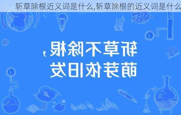 斩草除根近义词是什么,斩草除根的近义词是什么